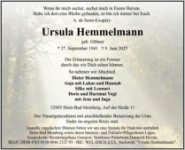 eine Anzeige